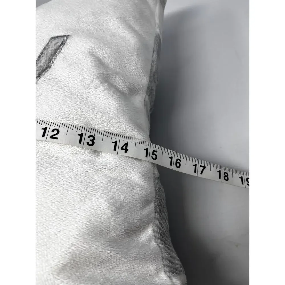 COZY soft Pillow Pre-Owned in fair condition 15 x 15 soft fabric